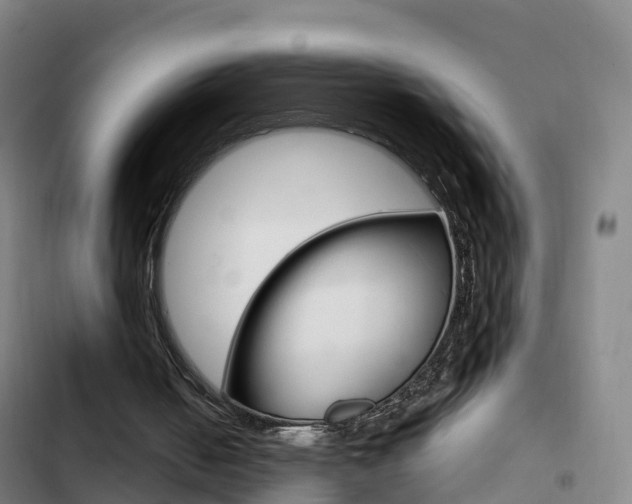 X0000103230050200808280959