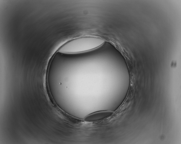 X0000103230052200808280959