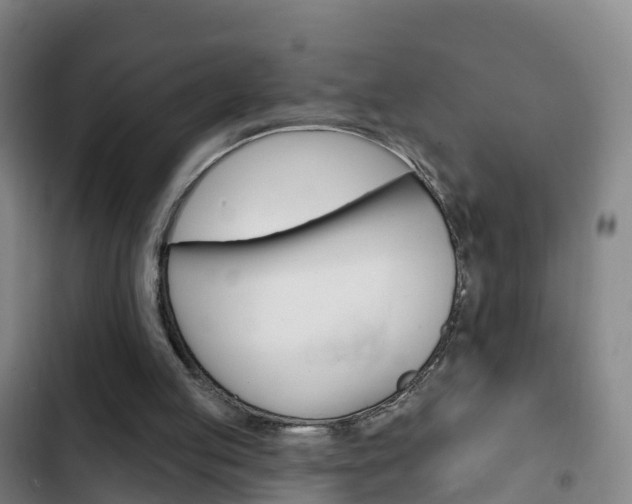 X0000103230053200808280959