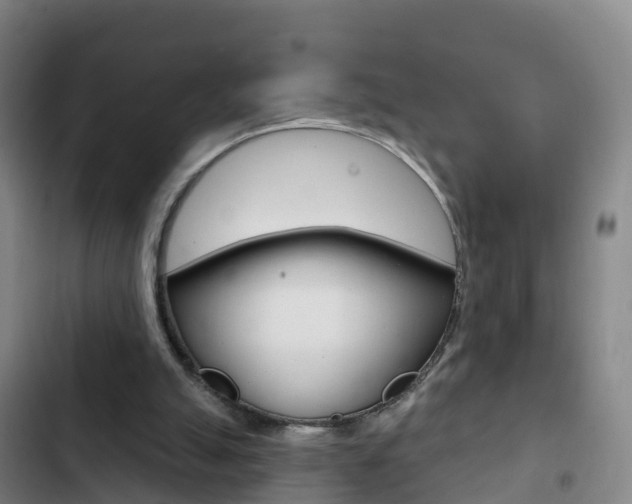 X0000103230055200808280959