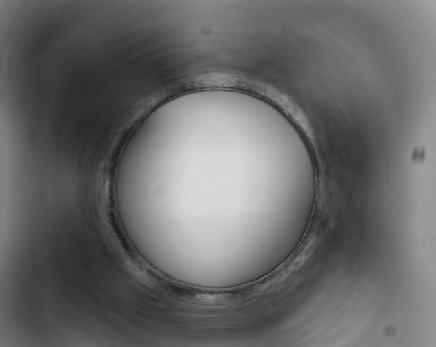X0000103230057200808281000