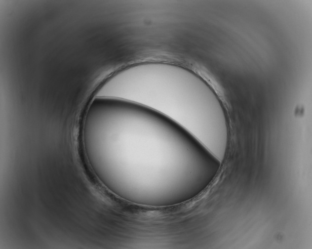 X0000103230058200808281000