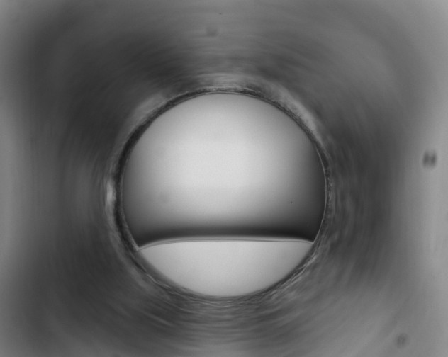X0000103230059200808281000
