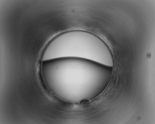 X0000103230060200808281000