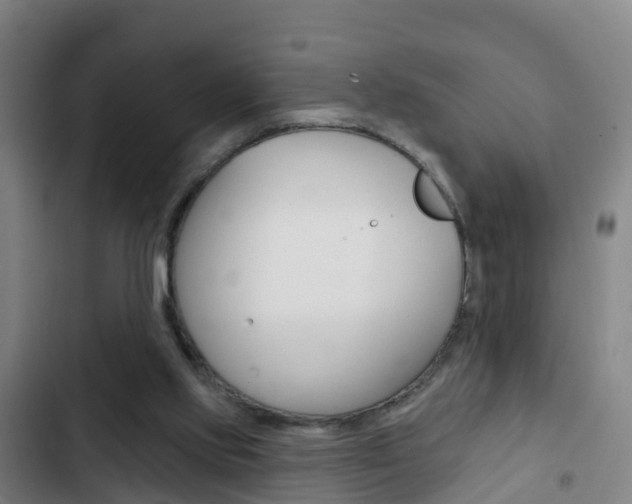 X0000103230061200808281000
