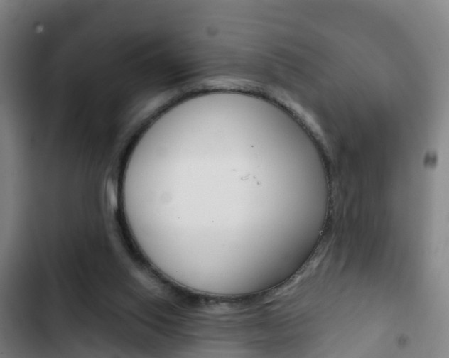 X0000103230062200808281000