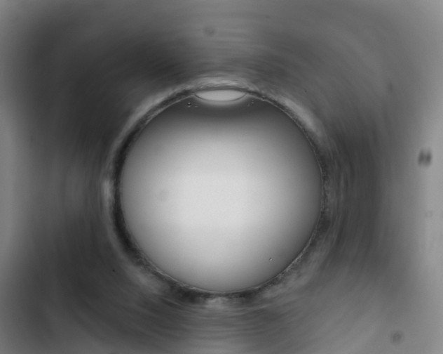 X0000103230064200808281000