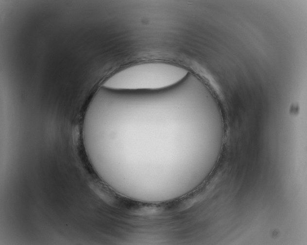 X0000103230065200808281000