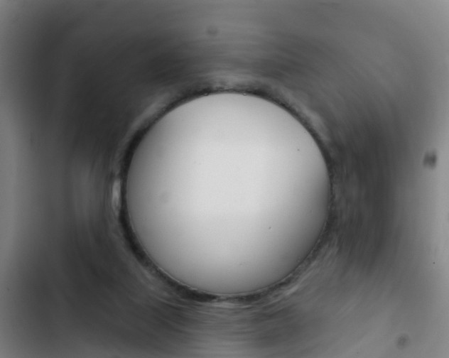 X0000103230067200808281000