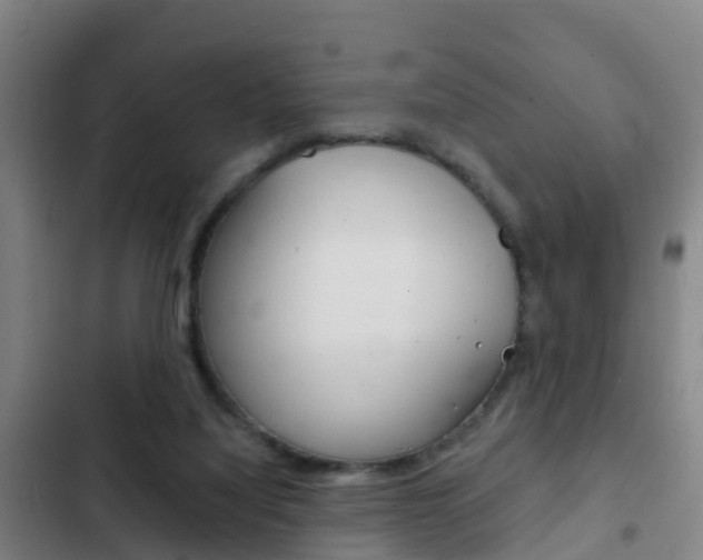 X0000103230068200808281000
