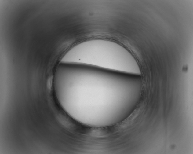 X0000103230070200808281000