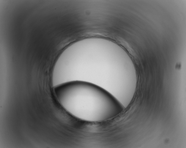 X0000103230071200808281000
