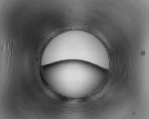 X0000103230072200808281000