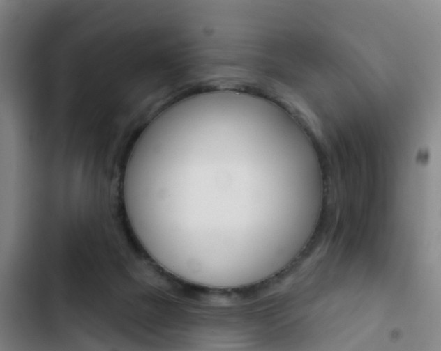 X0000103230073200808281000