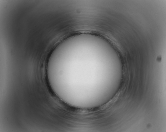 X0000103230074200808281000