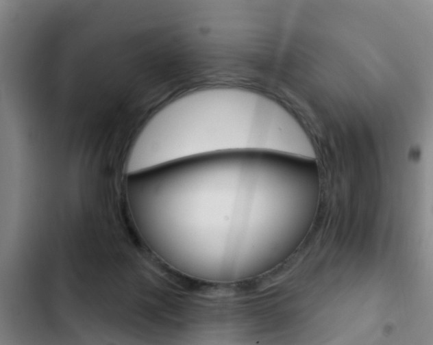 X0000103230075200808281000