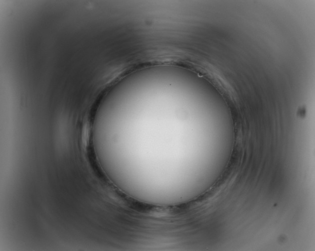 X0000103230076200808281000