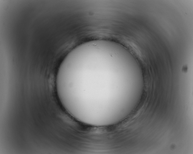 X0000103230077200808281000