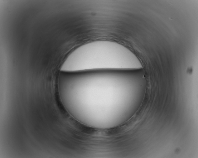 X0000103230080200808281000