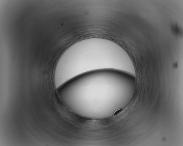 X0000103230082200808281000