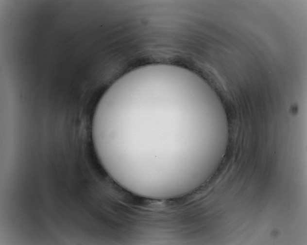 X0000103230083200808281000