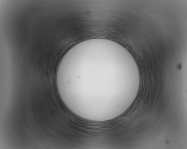 X0000103230084200808281000