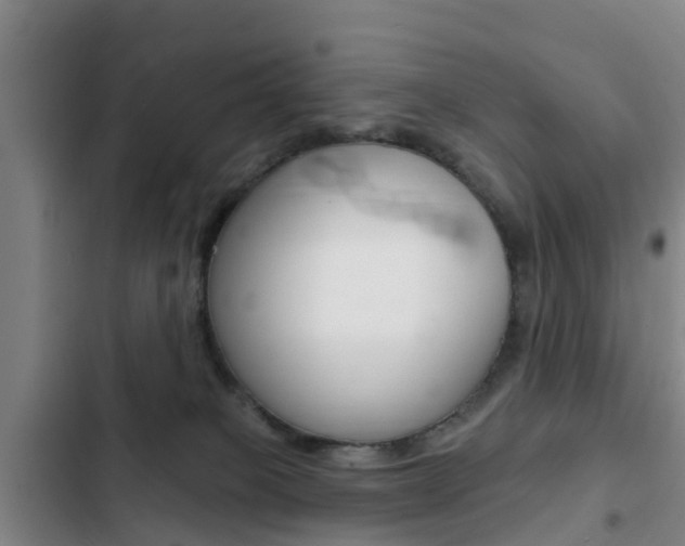 X0000103230085200808281000