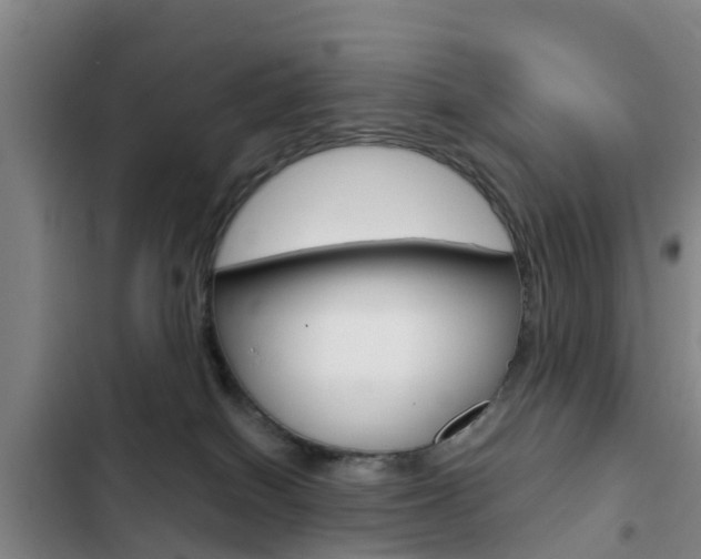 X0000103230086200808281000