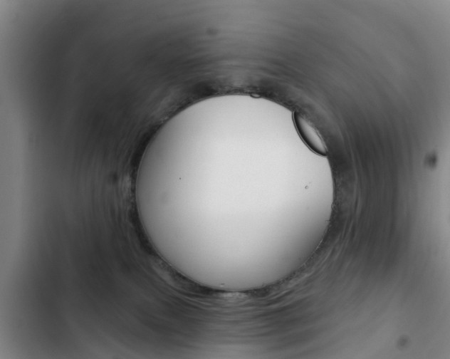 X0000103230087200808281000