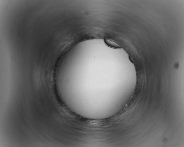 X0000103230088200808281000