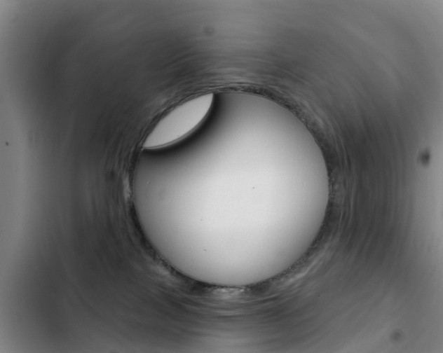 X0000103230089200808281000