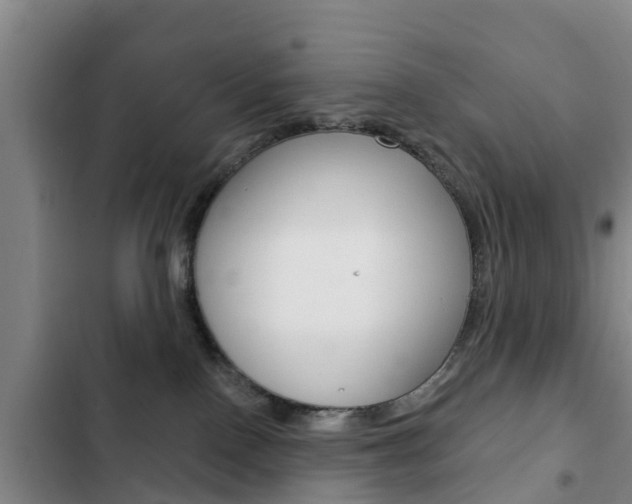 X0000103230090200808281000