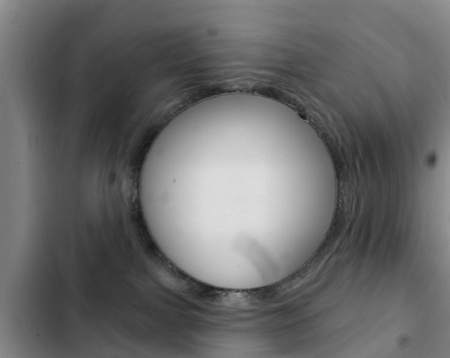 X0000103230091200808281000