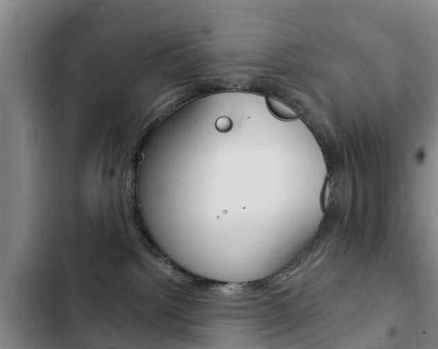 X0000103230092200808281000
