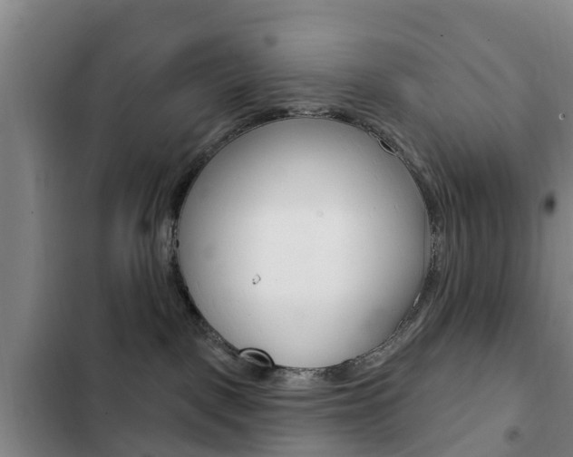 X0000103230093200808281000