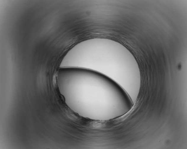 X0000103230094200808281000