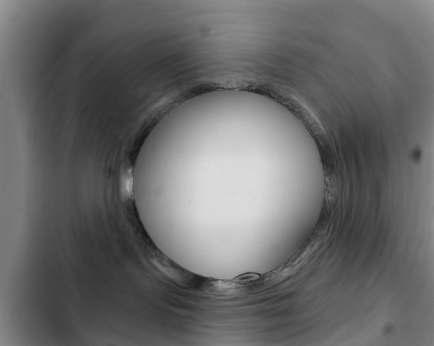 X0000103230095200808281000
