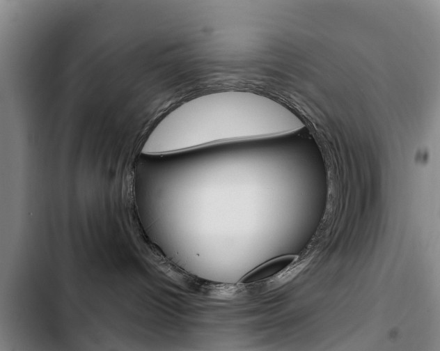 X0000103230096200808281000