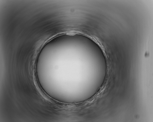 X0000103230097200808280959