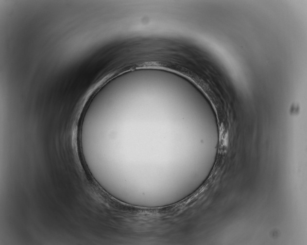 X0000103230099200808280959