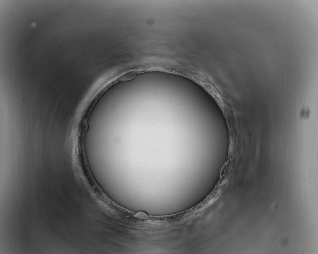 X0000103230101200808280959