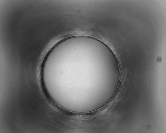 X0000103230103200808280959