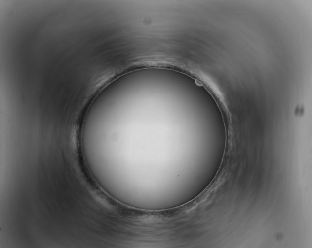 X0000103230105200808280959