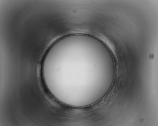 X0000103230107200808280959