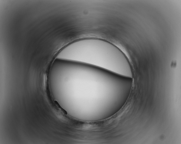 X0000103230109200808280959
