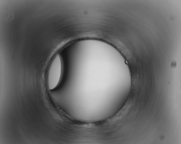 X0000103230112200808280959