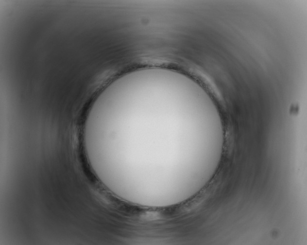 X0000103230114200808280959