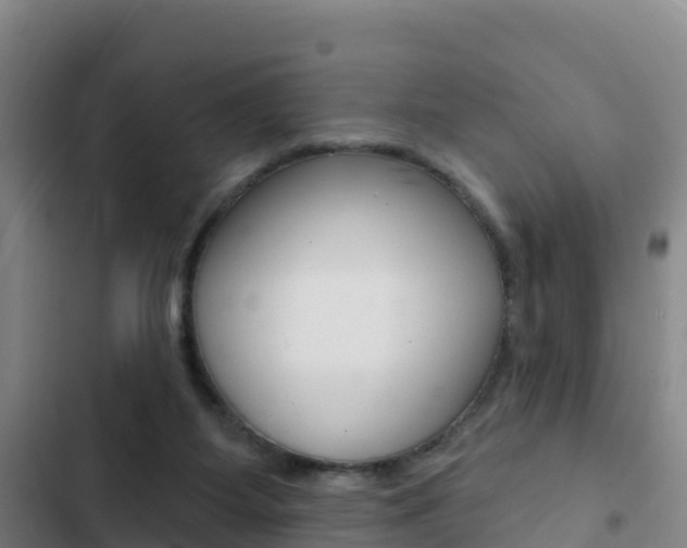 X0000103230115200808280959