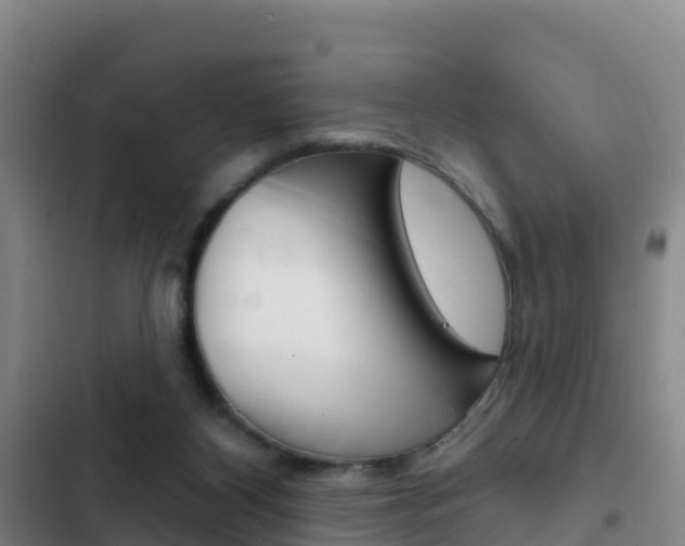X0000103230116200808280959