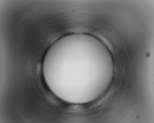 X0000103230117200808280959